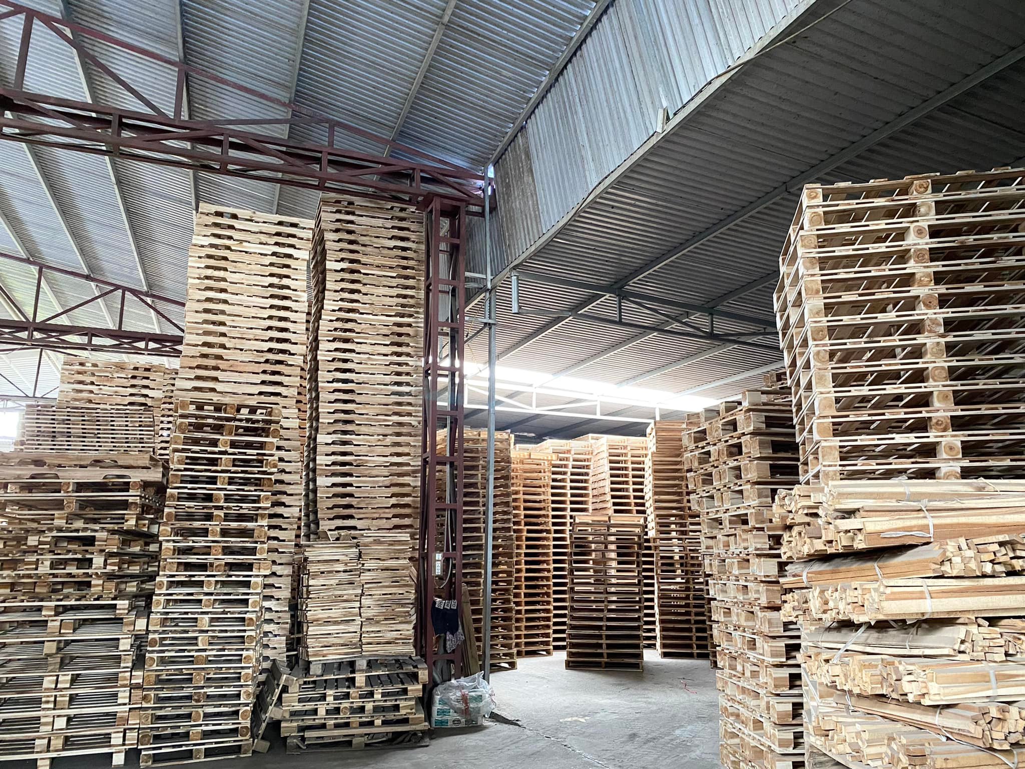 7 điều lưu ý quan trọng khi khử trùng pallet gỗ